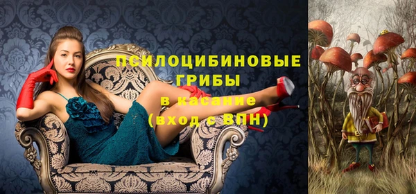 тгк Алексин