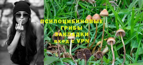 мет Алзамай