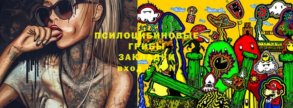 тгк Алексин