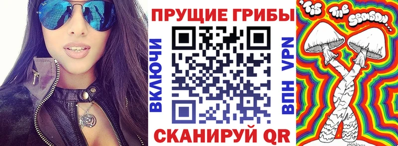 кракен зеркало  Ардон  Галлюциногенные грибы Psilocybine cubensis  закладки 